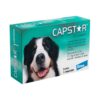 Antipulgas Elanco Capstar 57 mg para Cães acima de 11,4 Kg