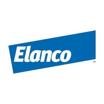 client